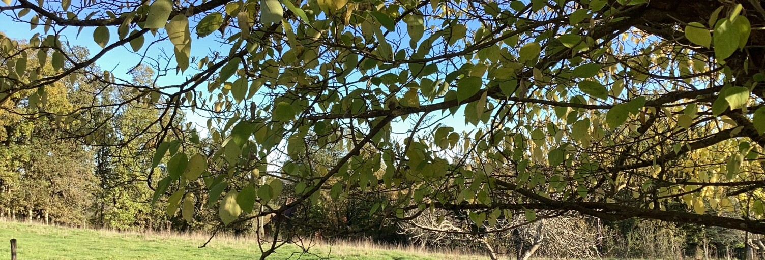 Terrain  1983 m² à vendre à Payrac (46350)