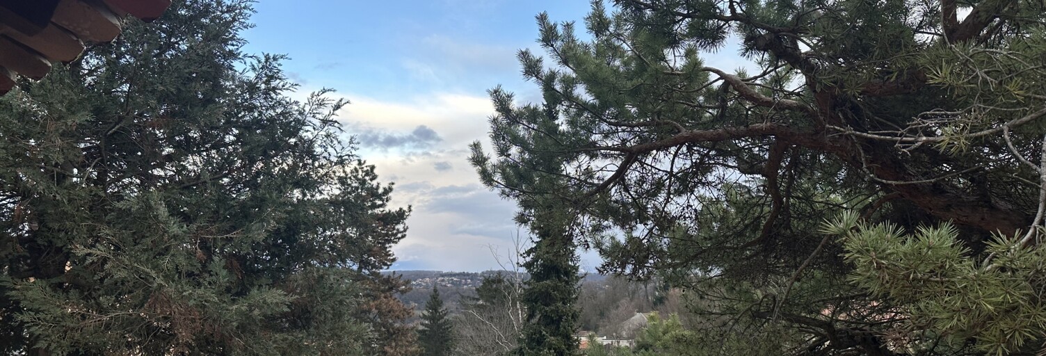 Maison 6 Pièces 141 m² à vendre à Couzon-au-Mont-d'Or (69270)