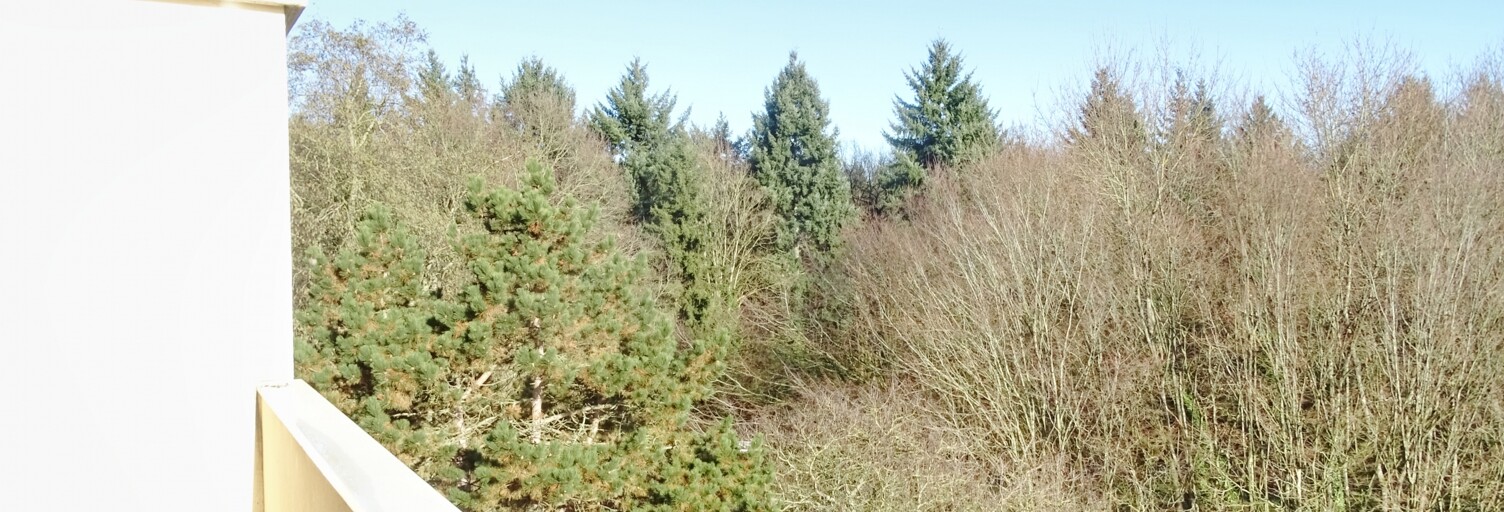 Appartement 4 Pièces 84 m² à vendre à Vaires-sur-Marne (77360)