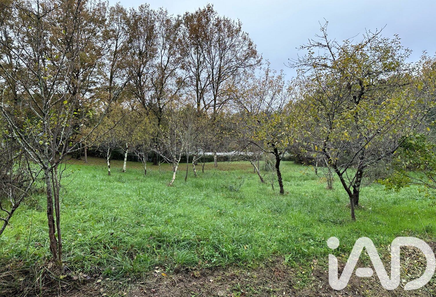 Vente Terrain à bâtir 1 361 m&sup2; — photo 1