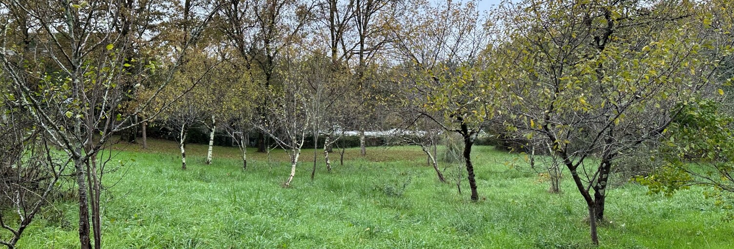 Terrain  1361 m² à vendre à Montauban (82000)