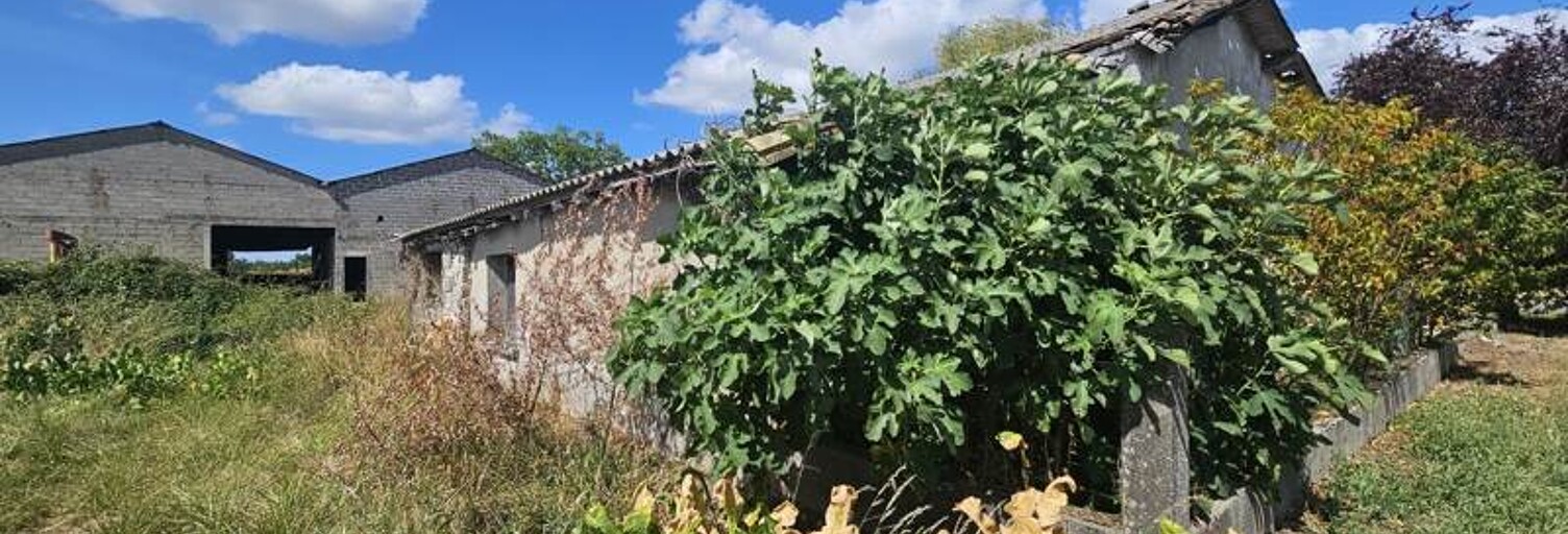 Maison 5 Pièces 113 m² à vendre à Neuvicq (17270)