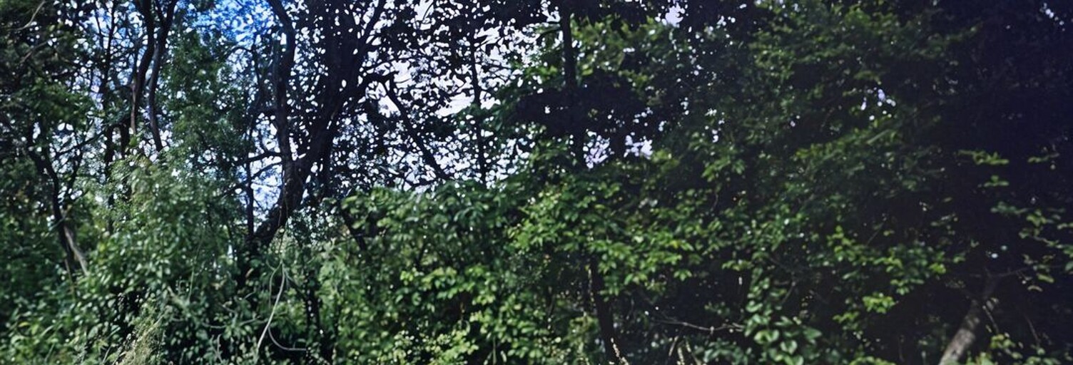 Maison  79100 m² à vendre à Lembeye (64350)