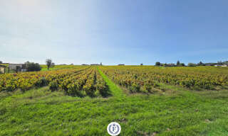 Maison 4 Pièces 110 m² à vendre à Saint-Lager (69220)