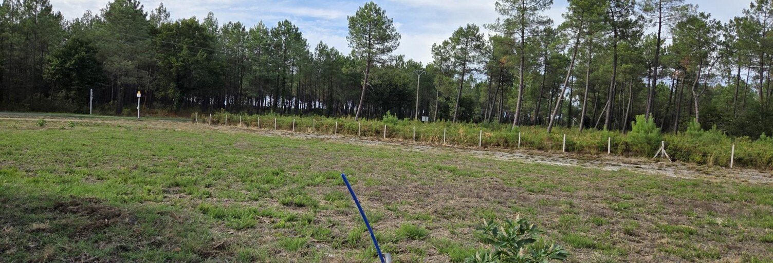 Terrain 440 m² à construire Parentis-en-Born (40160)