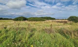 Terrain  1807 m² à vendre à Crozon (29160)