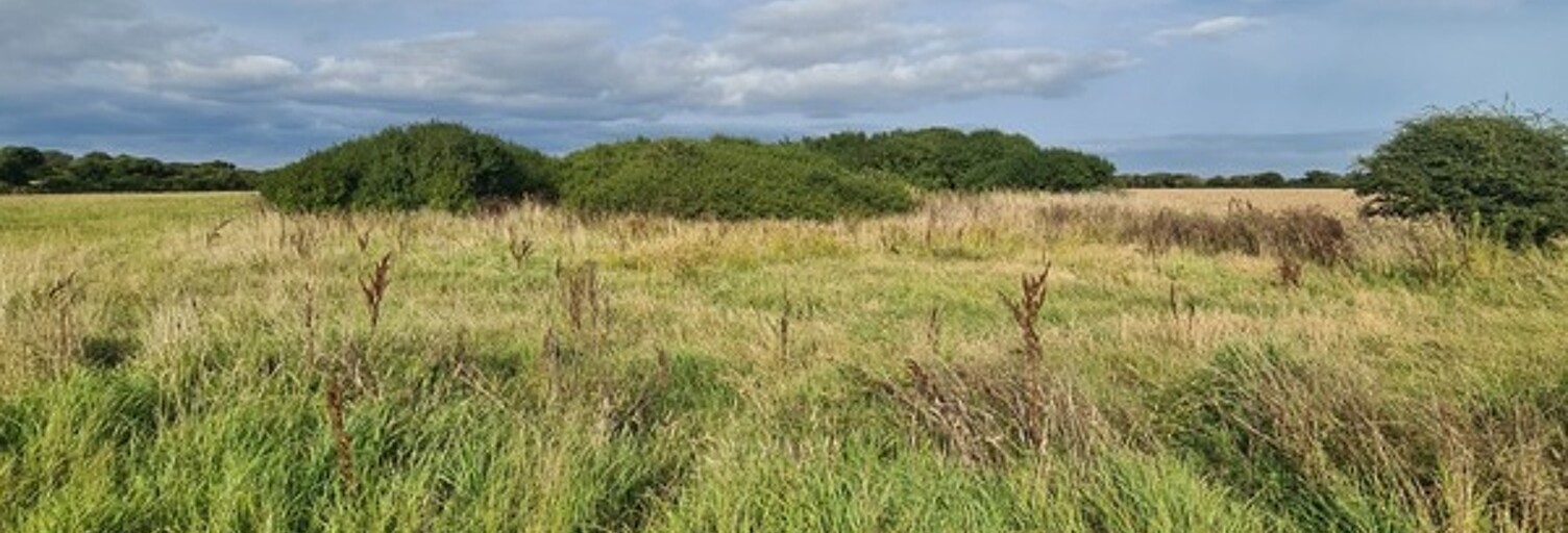 Terrain  1807 m² à vendre à Crozon (29160)