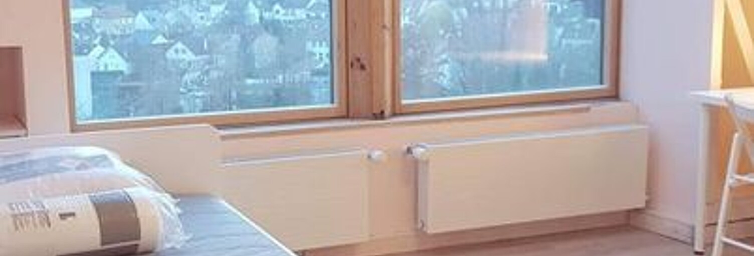 Appartement 1 Pièce 18 m² à louer à Orsay (91400)