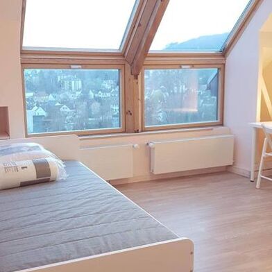 Appartement 1 pièces 520 €