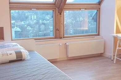 Appartement 1 pièces 520 €