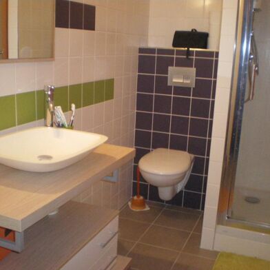 Appartement 1 pièces 495 €