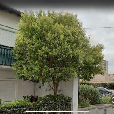 Appartement 3 pièces 850 €