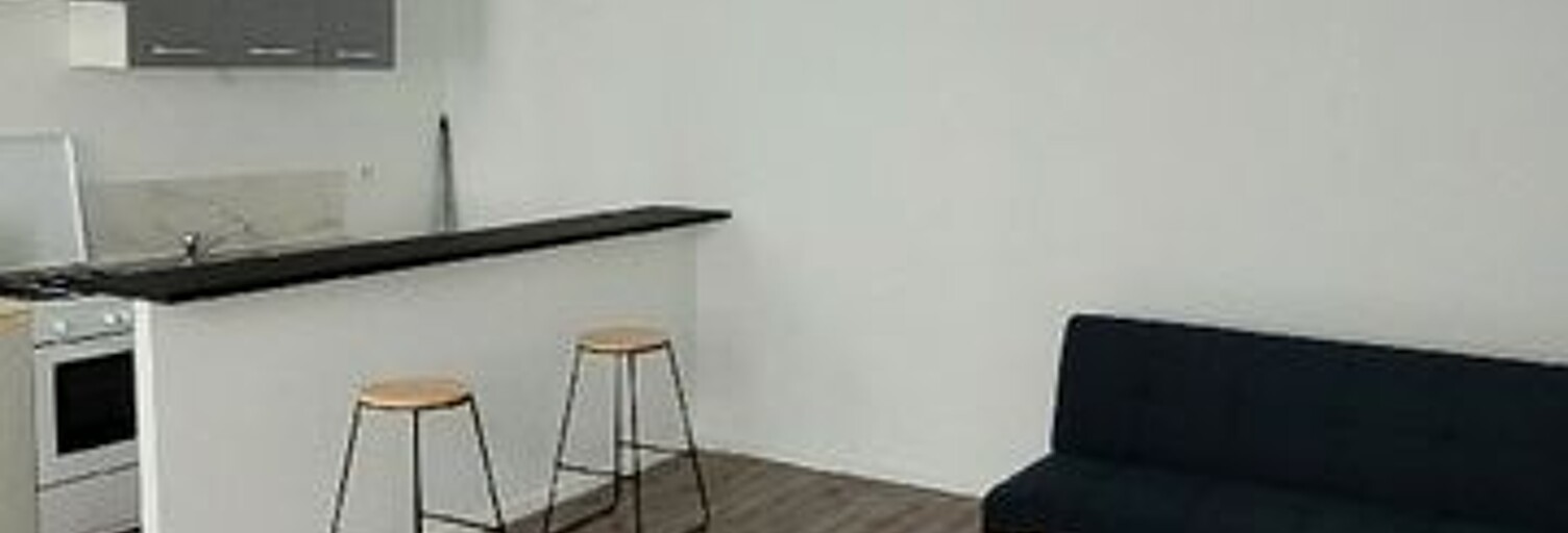 Appartement 2 Pièces 52 m² à louer à Saint-Étienne (42000)