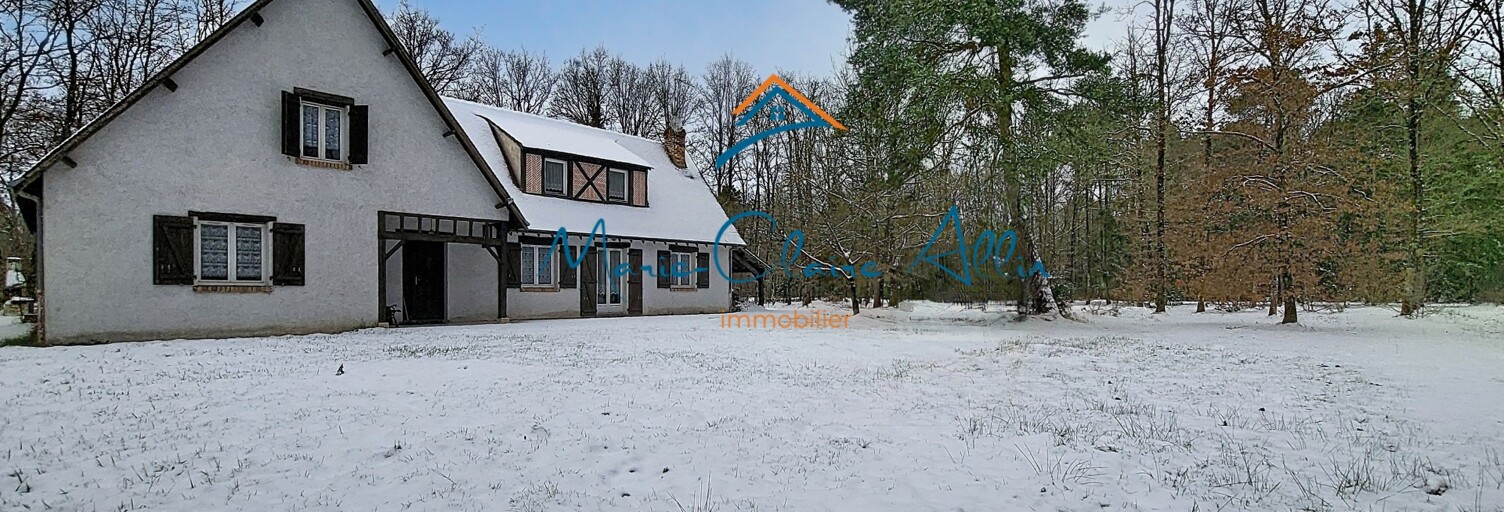 Maison 9 Pièces 227 m² à vendre à Saint-Laurent-Nouan (41220)