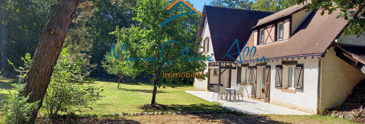 Maison 9 Pièces 227 m² à vendre à Saint-Laurent-Nouan (41220)