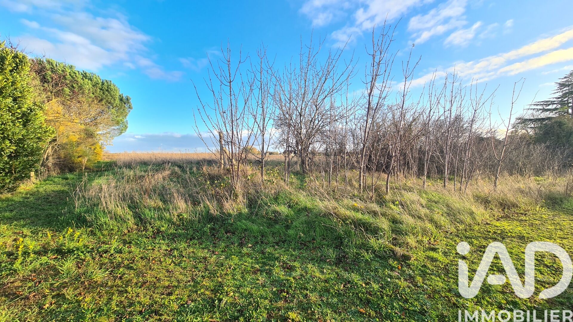 Jaunay-Clan - 2390m²