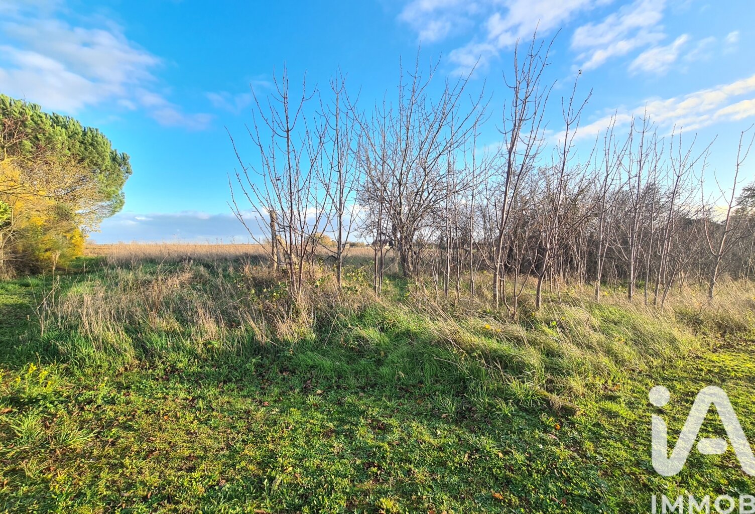 Vente Terrain à bâtir 2 390 m&sup2; — photo 1
