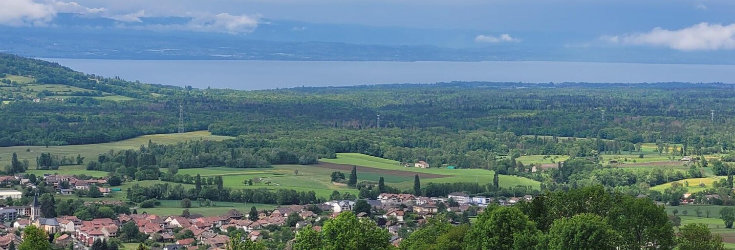 Photo N° 2