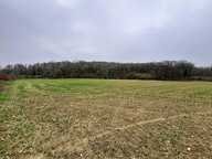 A vendre Terrain agricole constructible – Festieux — photo 2