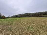 A vendre Terrain agricole constructible – Festieux — photo 4