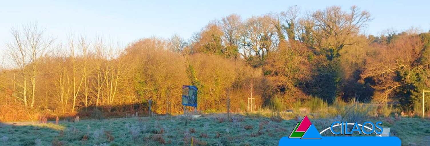 Terrain  353 m² à vendre à Billiers (56190)