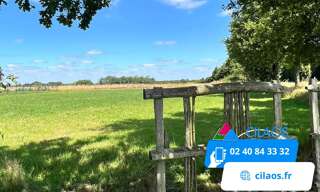 Terrain  955 m² à vendre à Chavagnes-en-Paillers (85250)