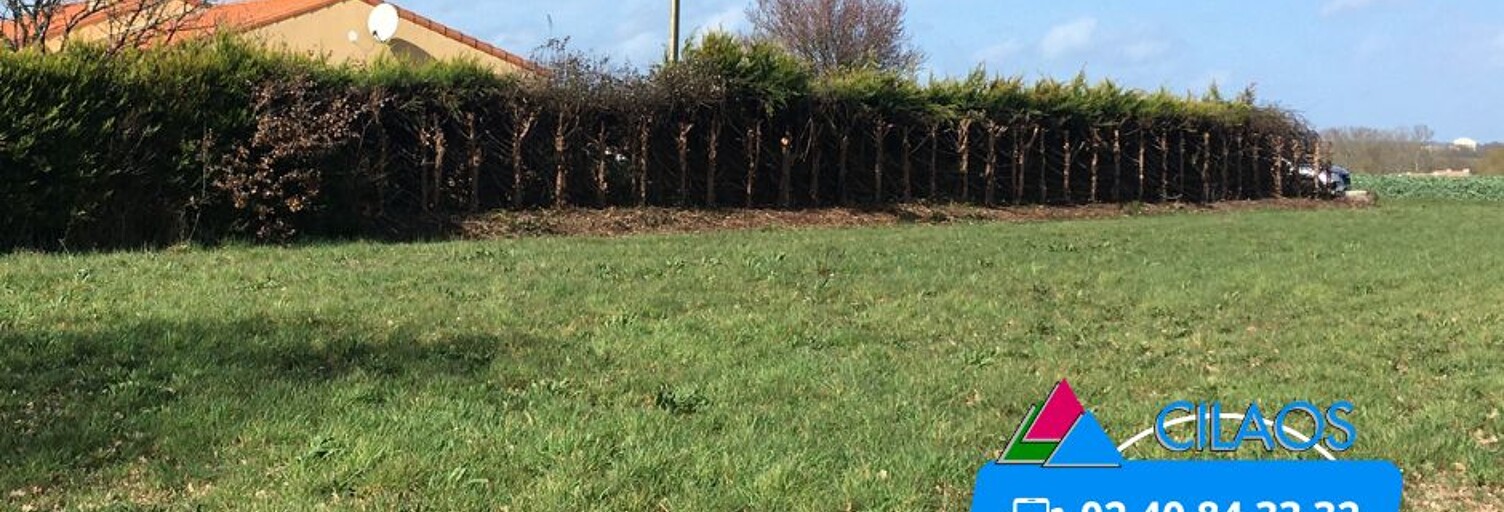 Terrain  975 m² à vendre à Rocheservière (85620)