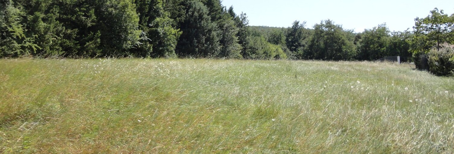 Terrain  1165 m² à vendre à Mirepoix (09500)