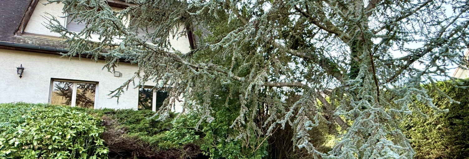 Maison 8 Pièces 182 m² à vendre à Igny (91430)