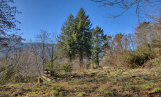 Terrain  5000 m² à vendre à Le Collet-de-Dèze (48160)