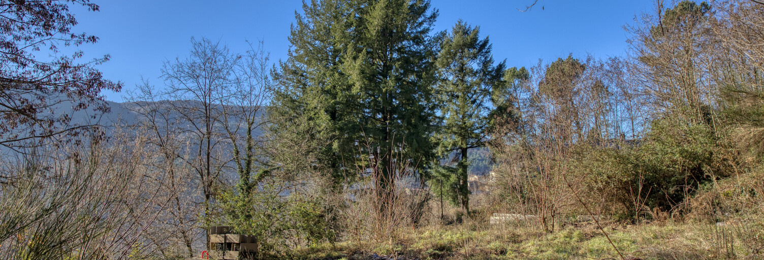 Terrain  5000 m² à vendre à Le Collet-de-Dèze (48160)