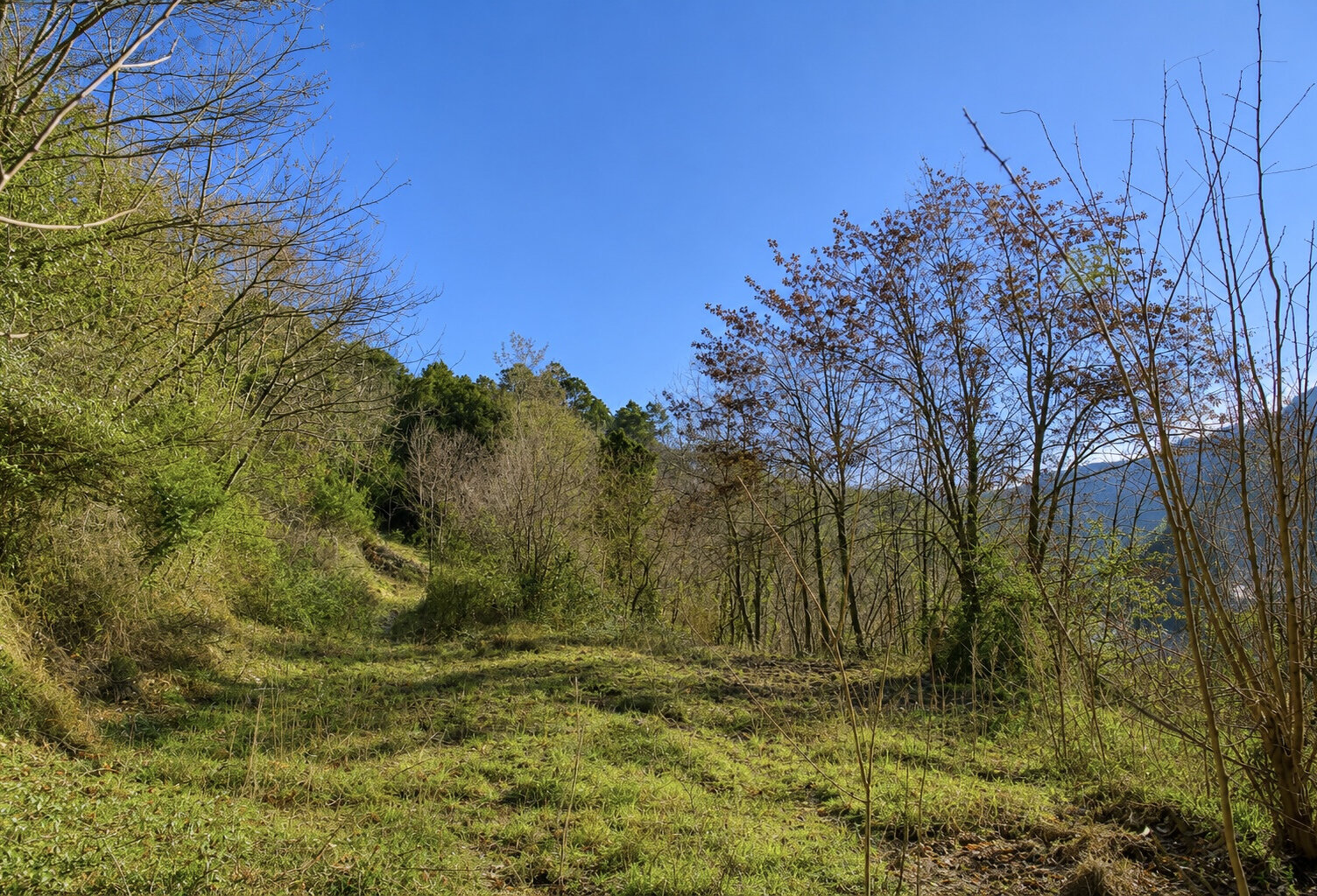 Terrain Constructible 5000m2 — photo 1