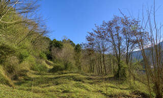 Terrain  5000 m² à vendre à Le Collet-de-Dèze (48160)