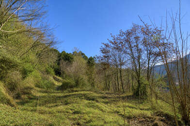 Terrain  55000 €