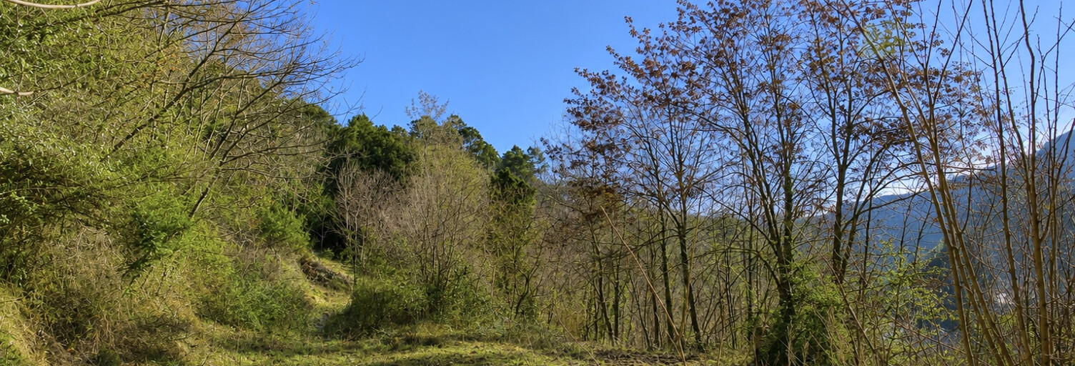 Terrain  5000 m² à vendre à Le Collet-de-Dèze (48160)