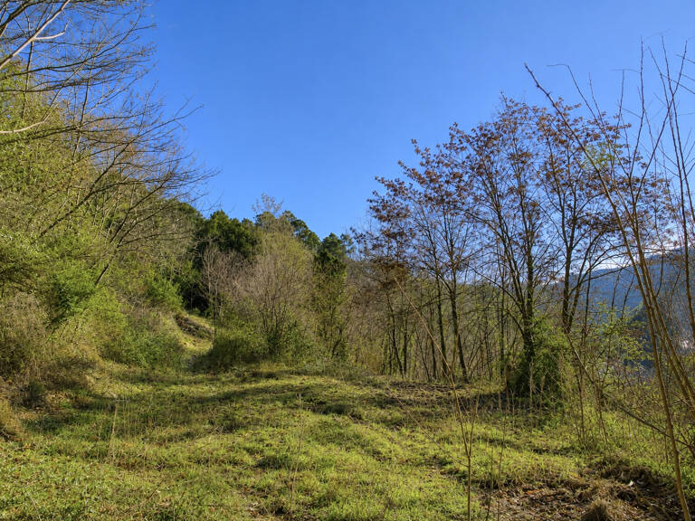 Terrain Constructible 5000m2 — photo 1
