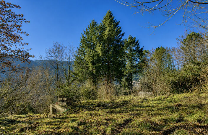 Terrain Constructible 5000m2 — photo 2