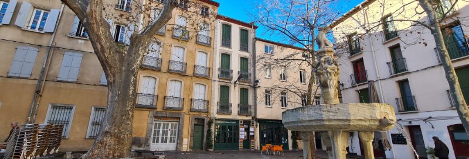 Maison 12 Pièces 350 m² à vendre à Céret (66400)