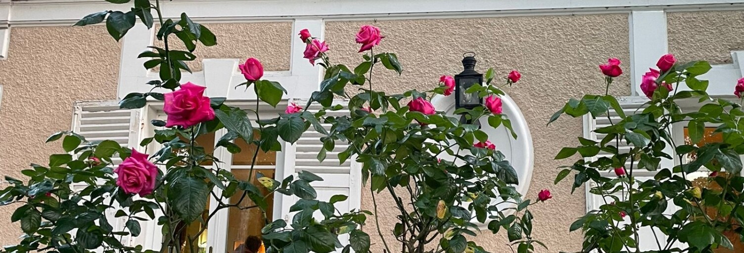 Photo N° 2