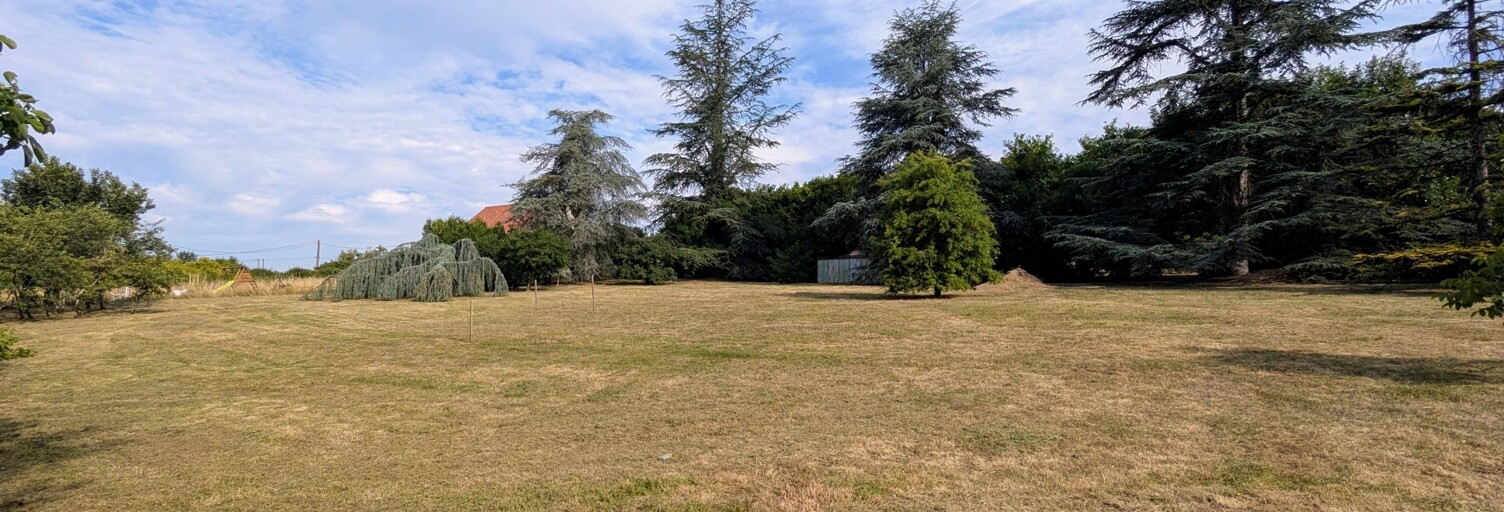 Terrain  7318 m² à vendre à Landes-le-Gaulois (41190)