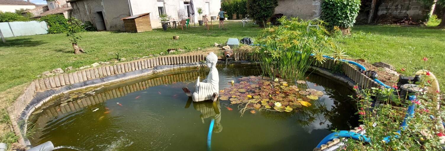 Photo N° 2