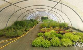 Commerce  800 m² à vendre à Saint-Magne-de-Castillon (33350)