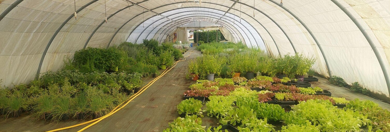 Commerce  800 m² à vendre à Saint-Magne-de-Castillon (33350)