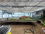 Vente Murs commerciaux 800 m&sup2; — photo 3