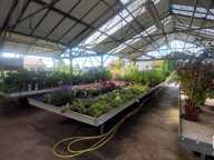 Vente Murs commerciaux 800 m&sup2; — photo 4