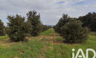 Terrain  5708 m² à vendre à Sainte-Cécile-les-Vignes (84290)