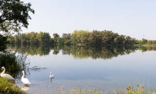 Photo N° 2