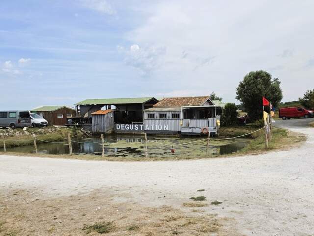 ILE D'OLÉRON emplac N°1, AV Murs 321m², marais 1,2ha et Fonds aquacole de production & dégustation de fruits de mer — photo du bien