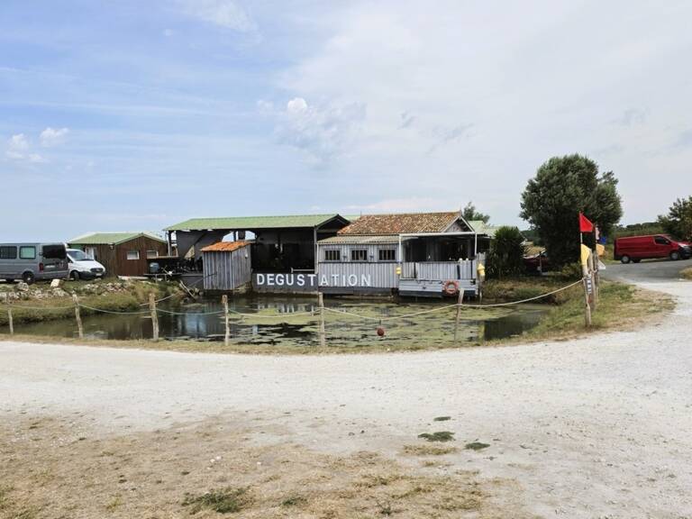 ILE D'OLÉRON emplac N°1, AV Murs 321m², marais 1,2ha et Fonds aquacole de production & dégustation de fruits de mer — photo 1