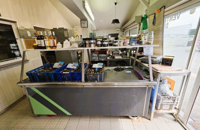 ILE D'OLÉRON emplac N°1, AV Murs 321m², marais 1,2ha et Fonds aquacole de production & dégustation de fruits de mer — photo 2